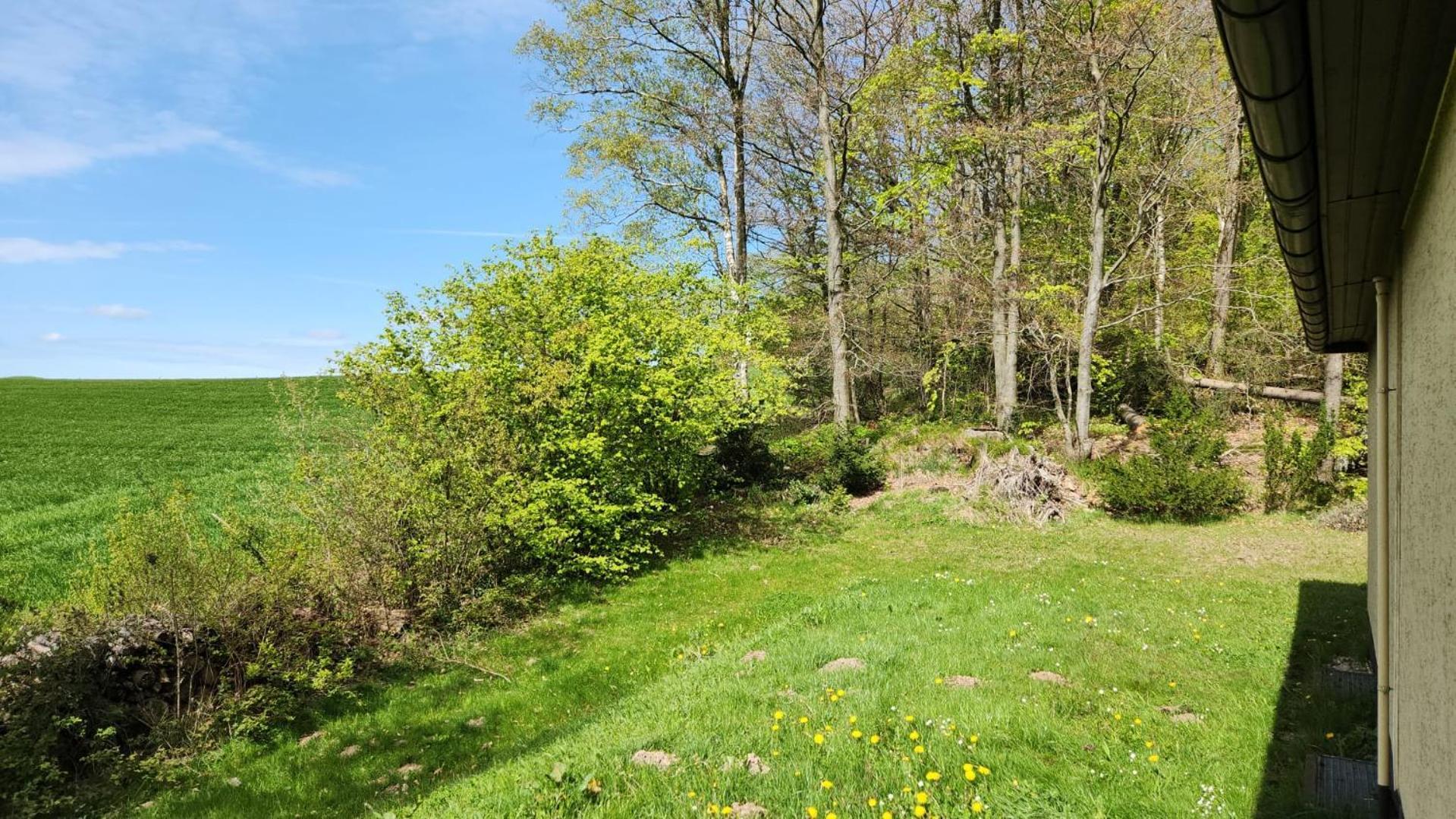 Ruhige Oase In Traumhafter Lage Apartamento Rabennest Exterior foto